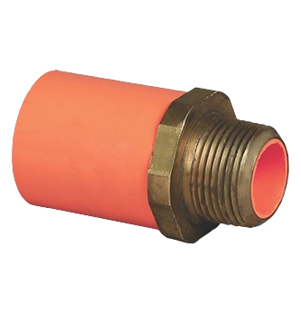 Male Adapter (Brass)